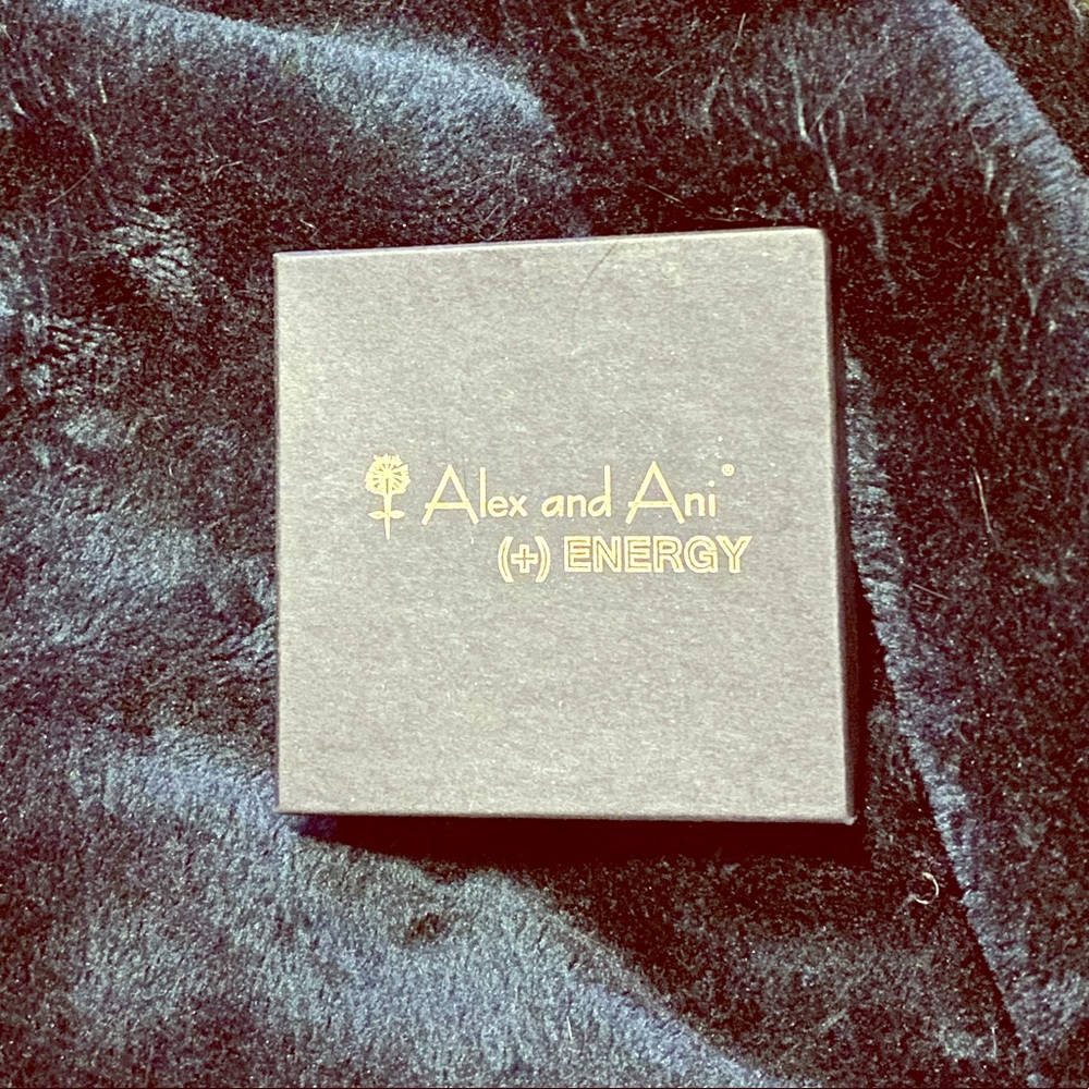 Alex and Ani bracelet